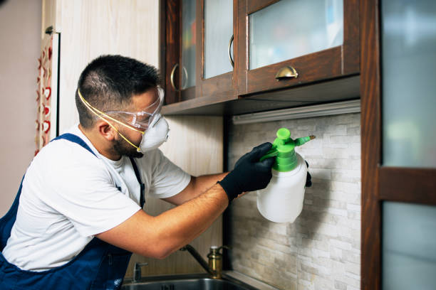 Pest Prevention Services in Spanish Lake, MO