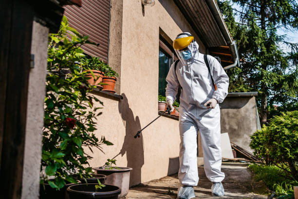 Best Cockroach Control Services  in Spanish Lake, MO