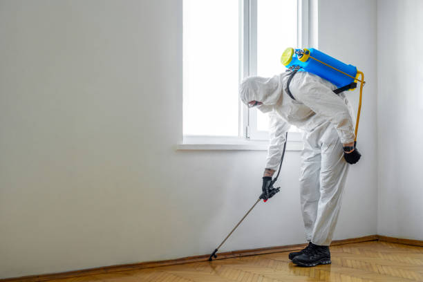 Best Insect Control  in Spanish Lake, MO