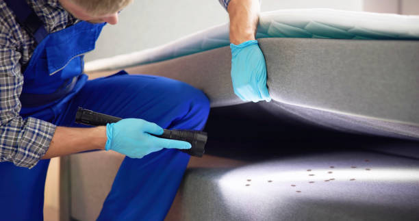 Best Wasp Removal Services  in Spanish Lake, MO