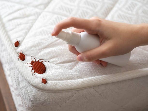 Best Pest Prevention Services  in Spanish Lake, MO
