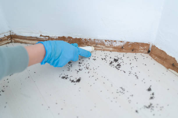 Best Emergency Pest Control  in Spanish Lake, MO