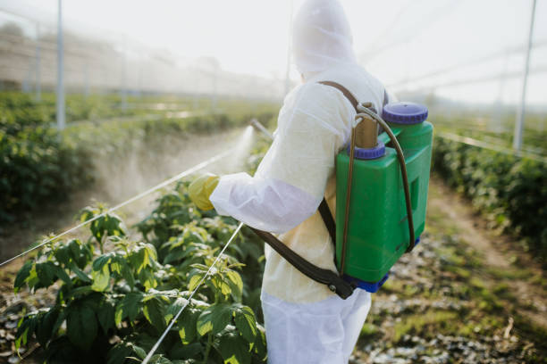 Best Pest Removal Services  in Spanish Lake, MO